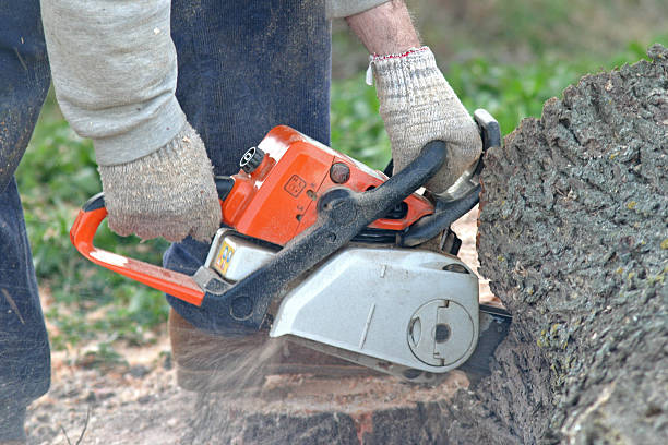 Best Lawn Pest Prevention  in Pablo, MT